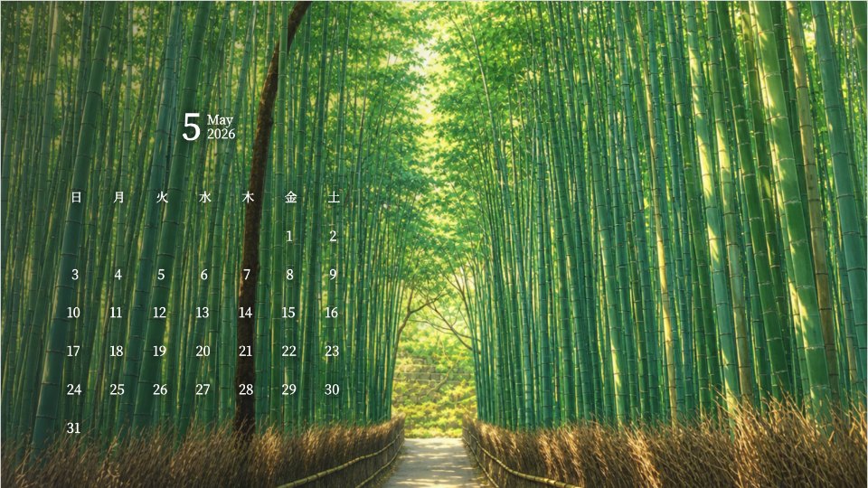 Arashiyama Bamboo Sunlit Path