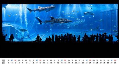 Blue Tank at Churaumi Aquarium