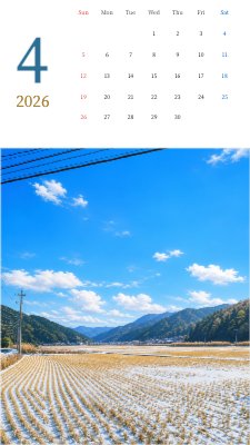 Snowy Rice Fields Under a Clear Blue Sky