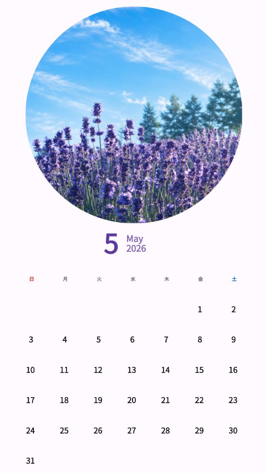 Lavender Field and Blue Sky