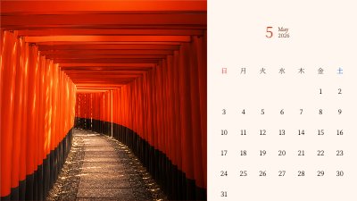 Fushimi Inari Taisha Sunlit Torii Tunnel