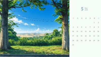 Fresh Green Canopy and Sand Dunes Calendar