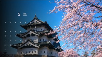 Hirosaki Castle Cherry Blossoms
