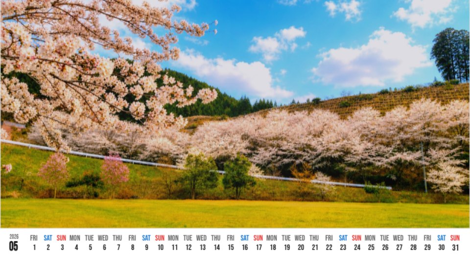 Cherry Blossoms and Blue-Sky Hill
