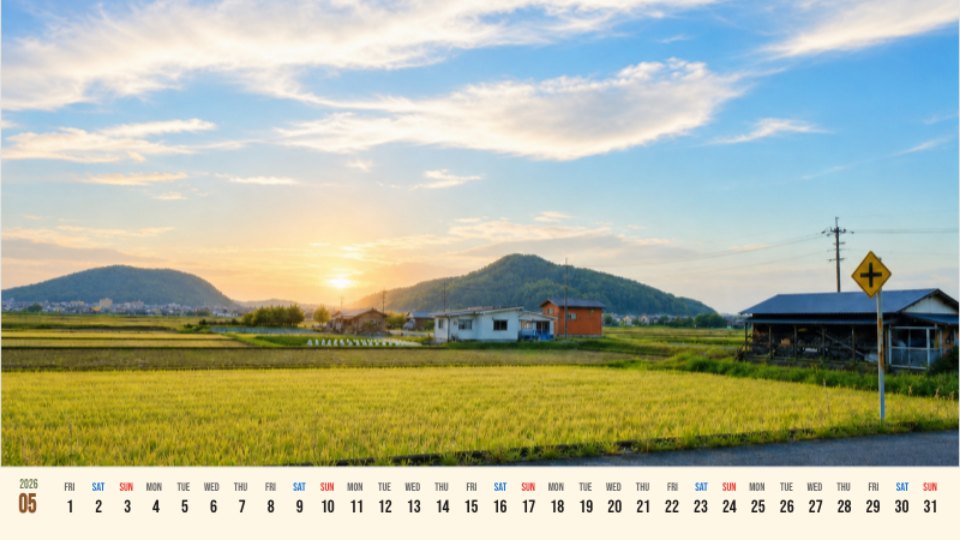 Sunset Sky and Rice Fields