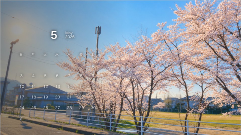 Spring Cherry Blossoms Under a Blue Sky