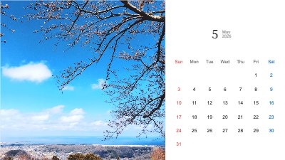Sakura Sky Coastal Calendar