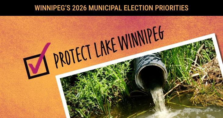 Winnipeg's 2026 Municipal Election Priorities: Protect Lake Winnipeg