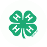4-H