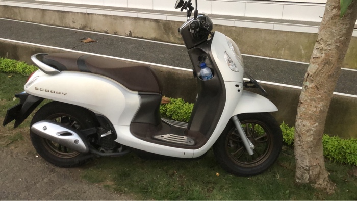 Honda scoopy