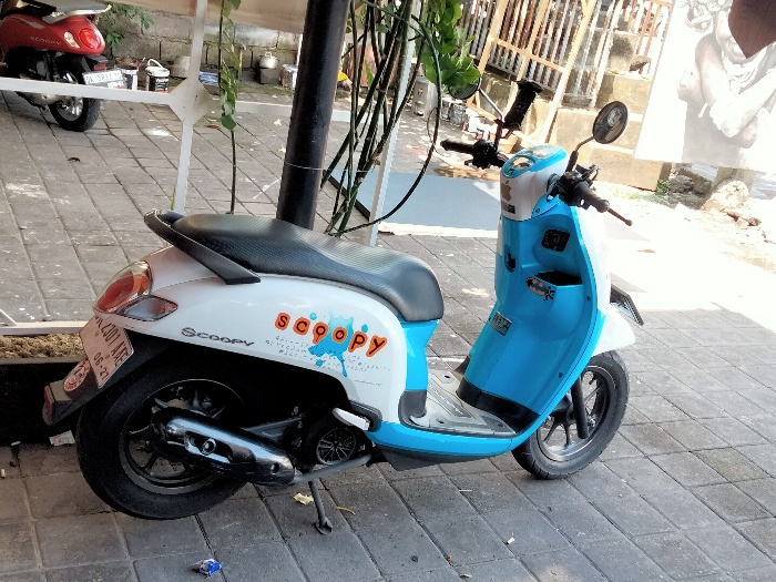 Honda Scoopy