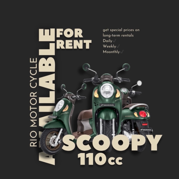 Honda new scoopy