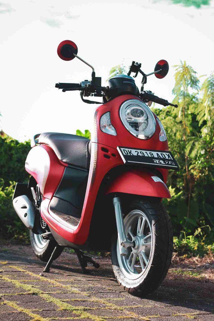 Honda Scoopy