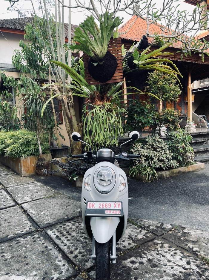 Honda Scoopy