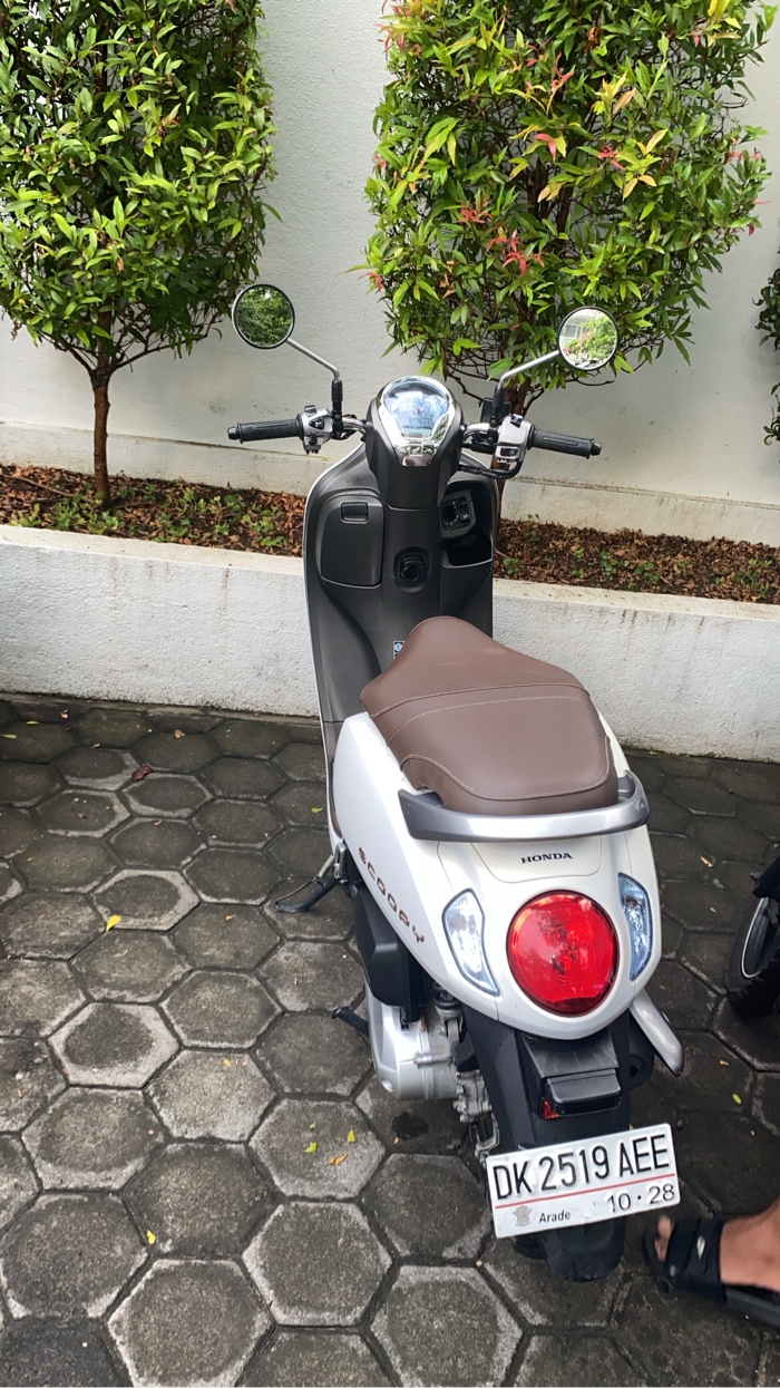 Honda Scoopy