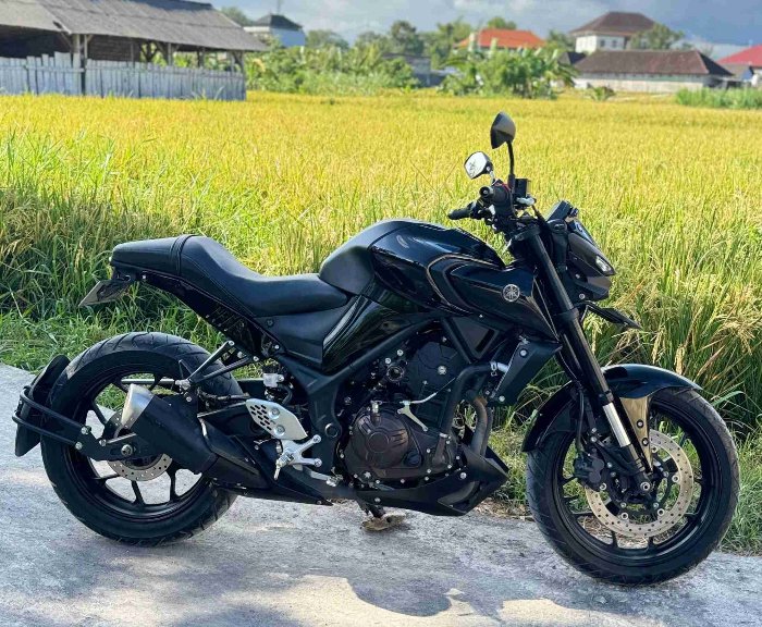 Yamaha MT