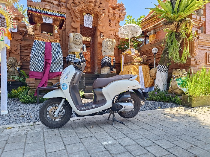 Honda Scoopy