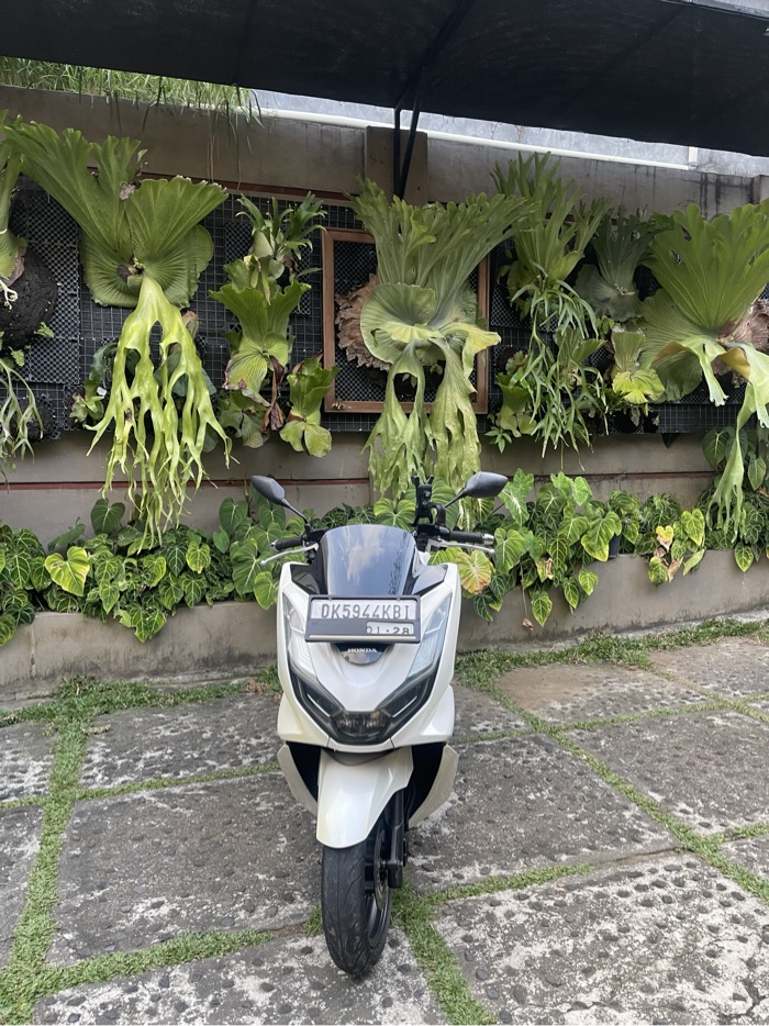 Honda PCX