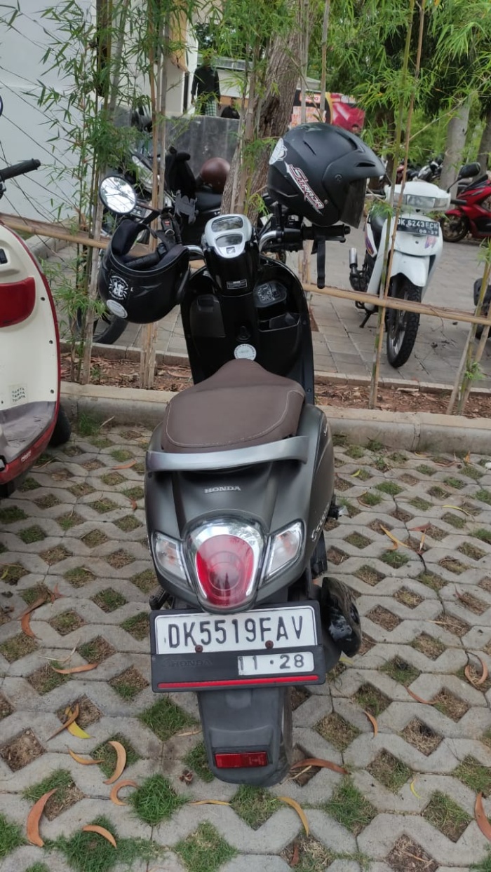 Honda Scoopy