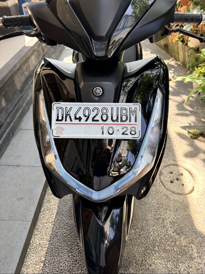 Yamaha Freego