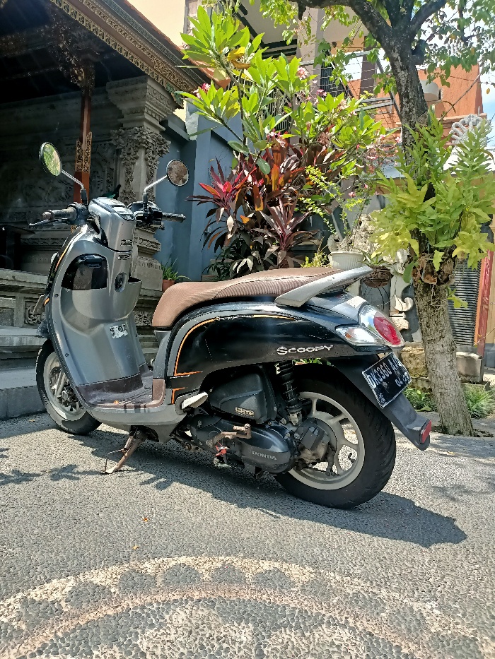 Honda Scoopy