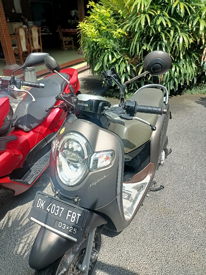 Honda Scoopy