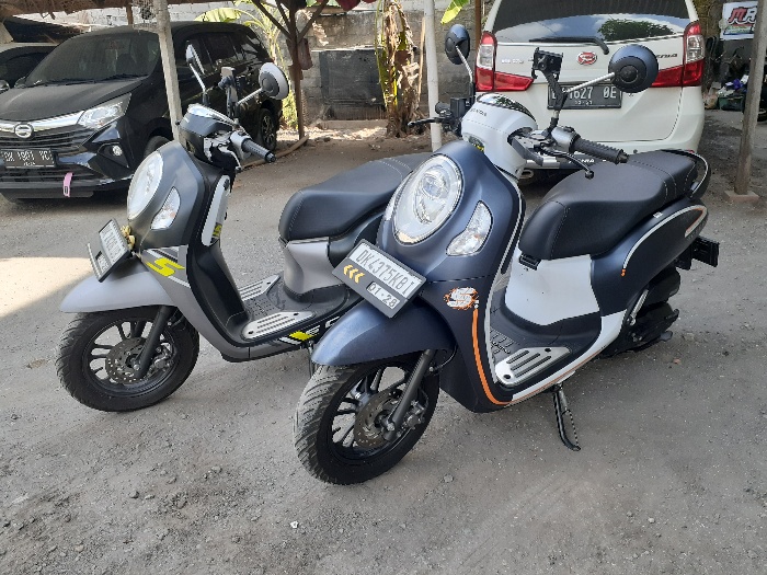 Honda Scoopy