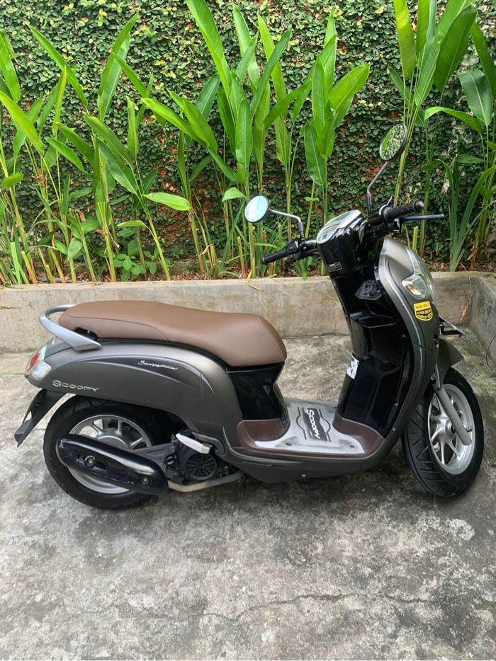 Honda Scoopy