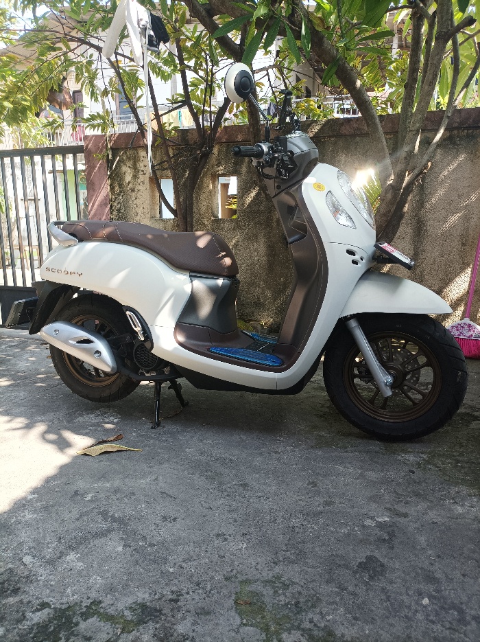Honda Scoopy