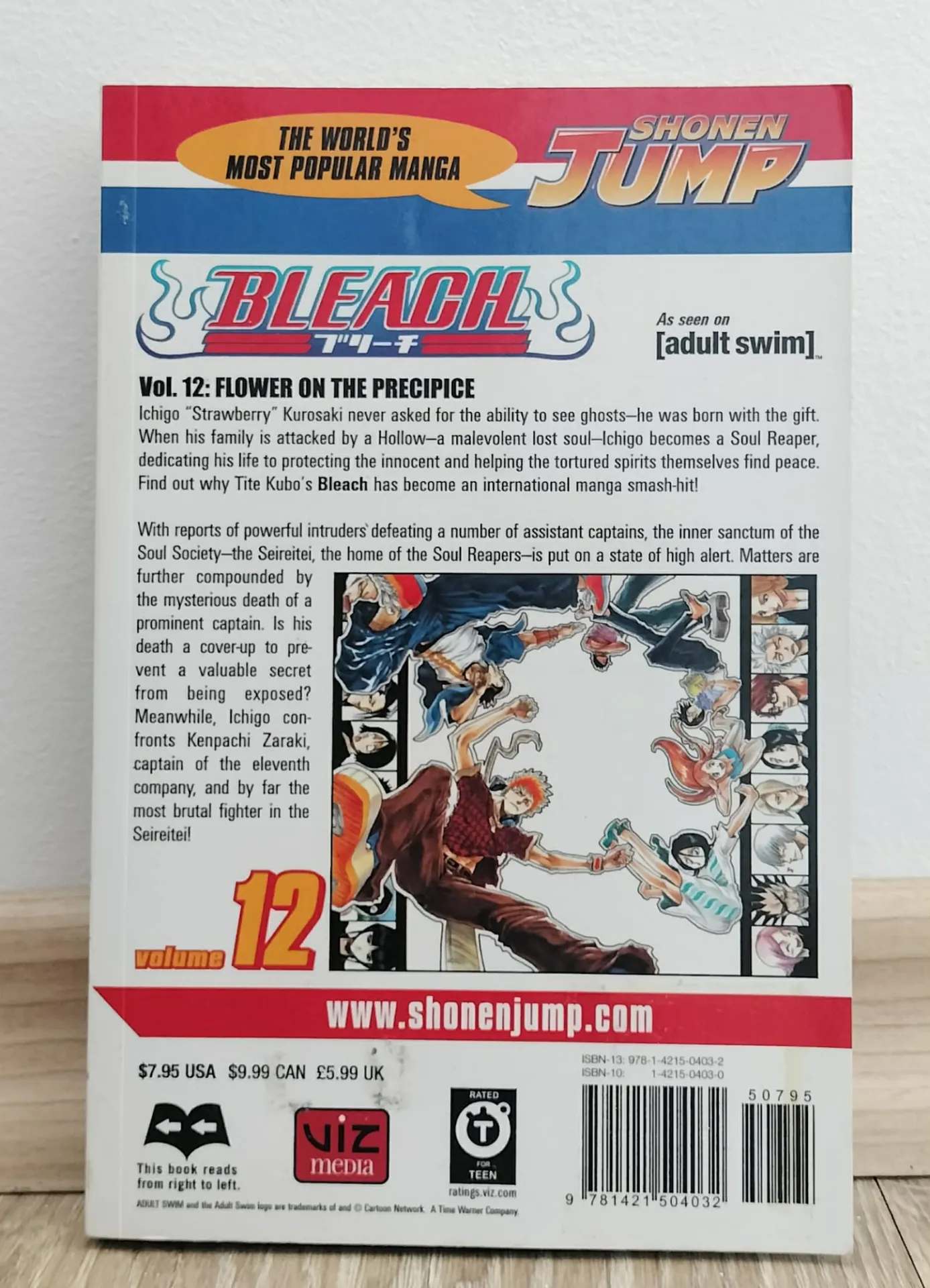 Bleach, том 12: Flower on the Precipice