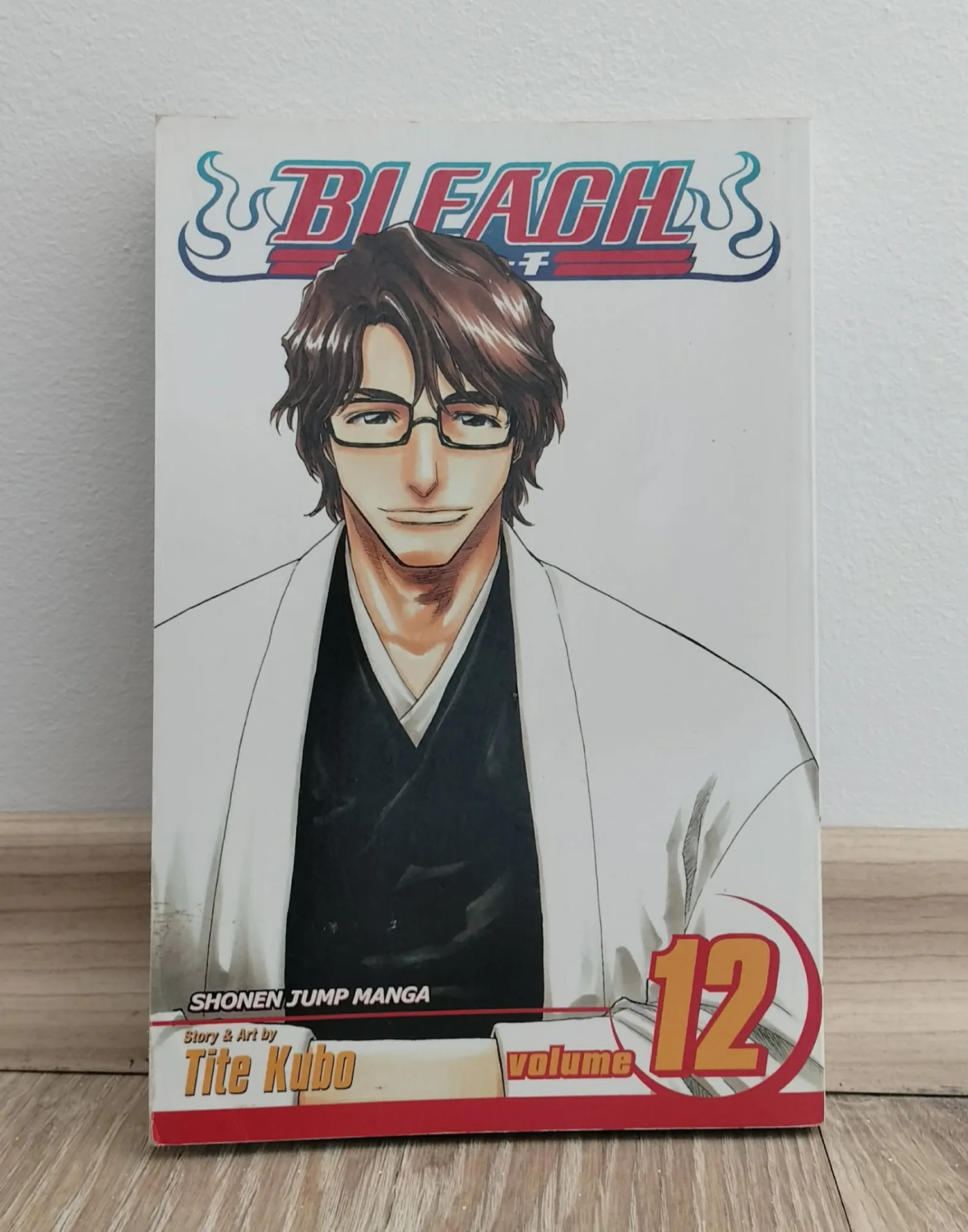 Bleach, том 12: Flower on the Precipice