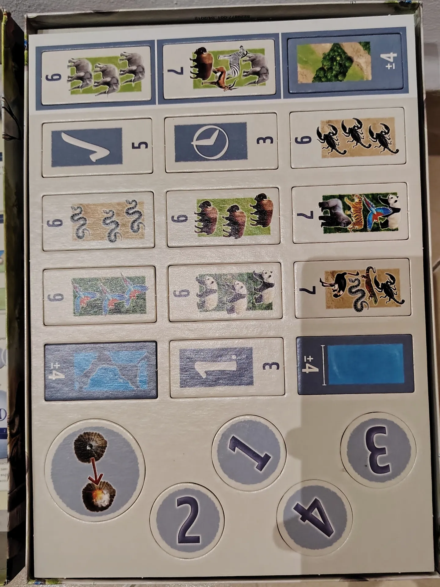 Mondo board game