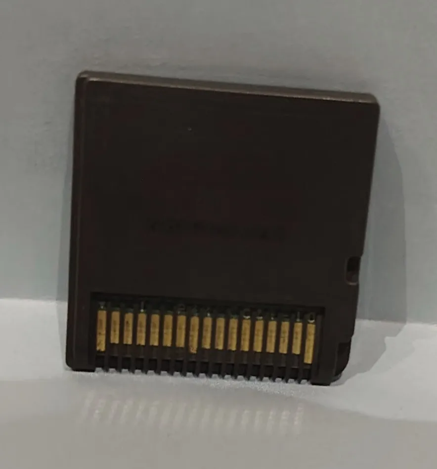 Dragon Hunters for Nintendo DS