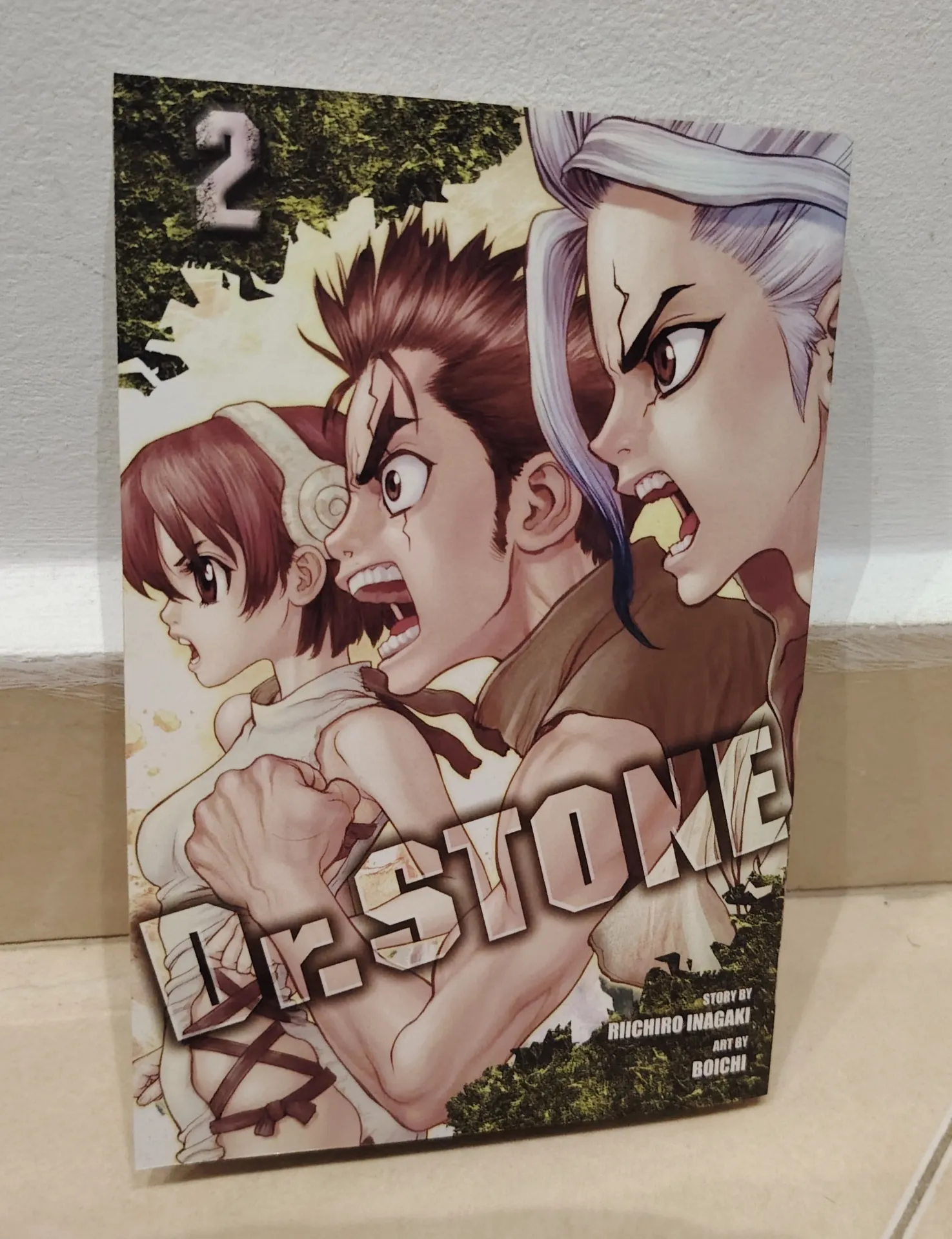 Dr. STONE Vol. 2: Two Kingdoms of the Stone World