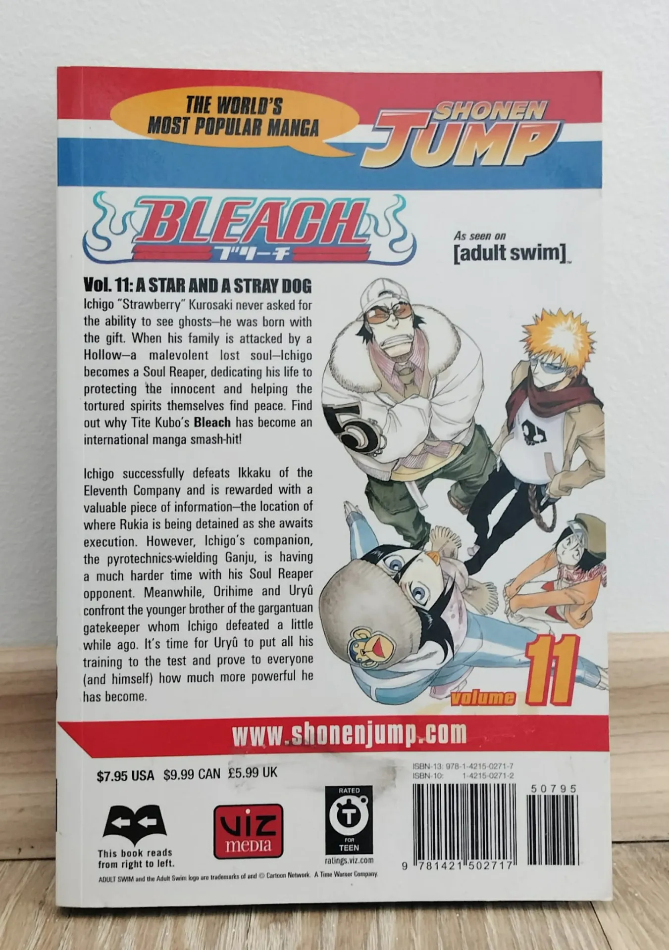 Bleach том 11: A Star and a Stray Dog
