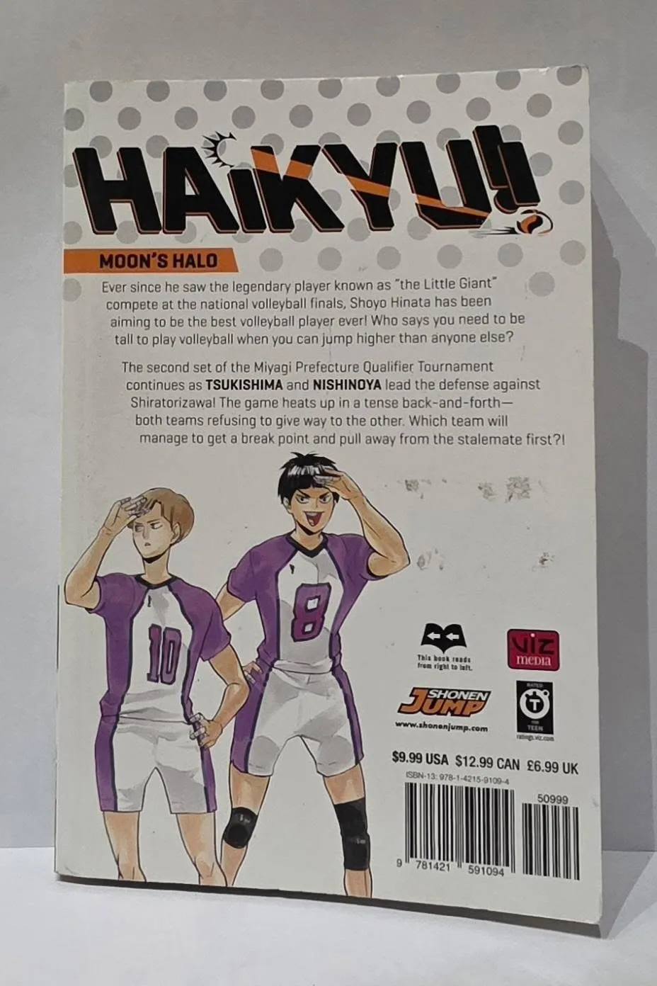 Haikyu!!, том 19: Moon’s Halo