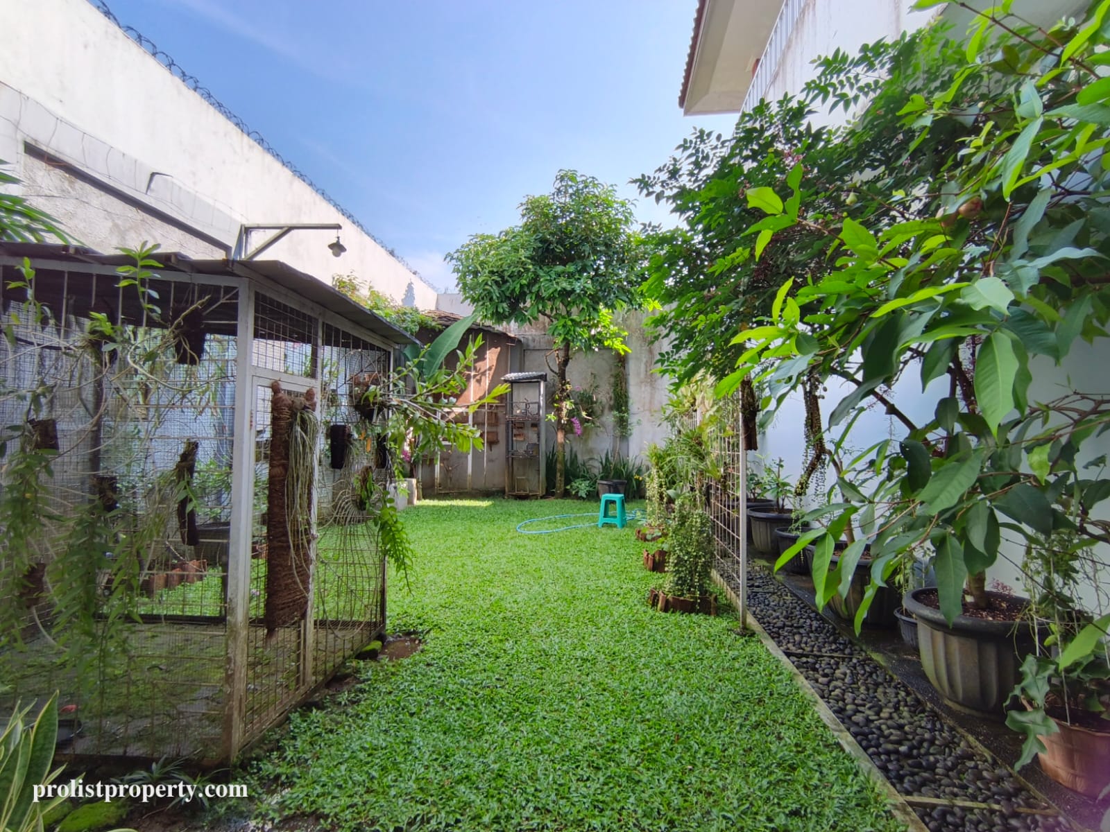 Dijual Rumah Serasa Villa Dengan View Gunung slamet - Banyak Bonusnya view 4