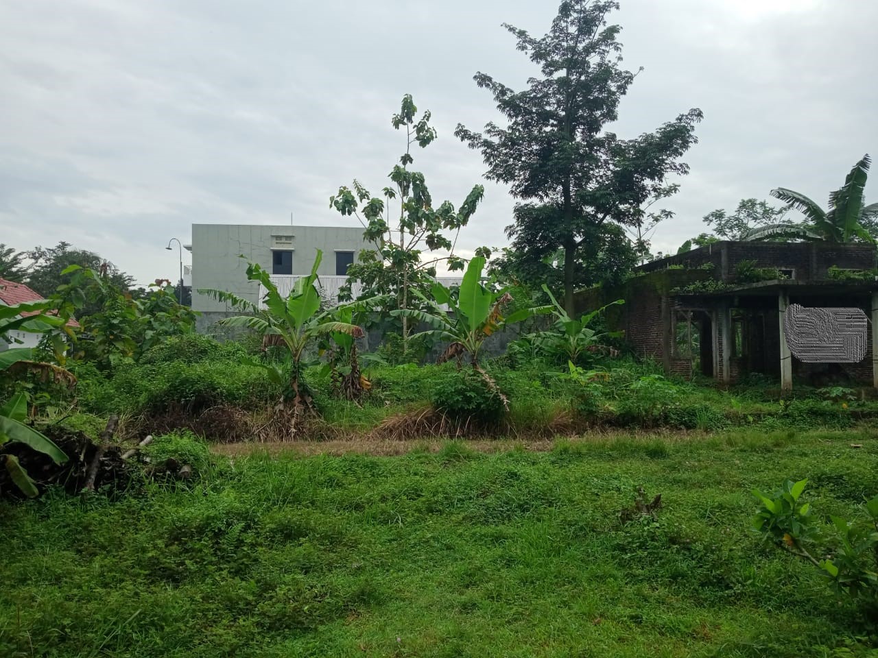 Dijual Tanah Pekarangan hanya 3 Menit Dari Fakultas Kesehatan UMP view 2