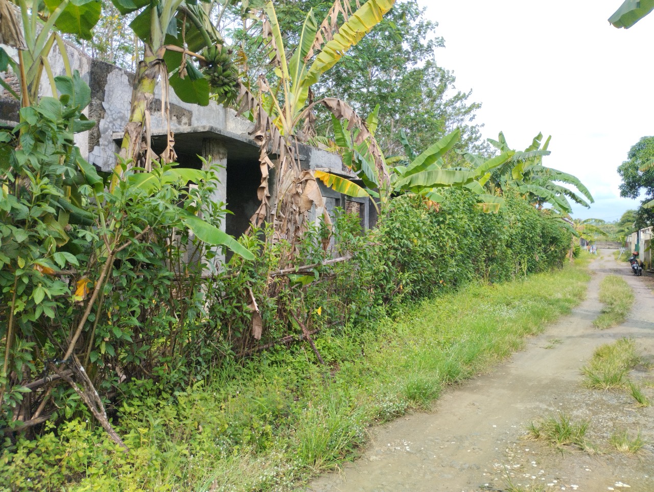 Dijual Cepat! Harga Dibawah Pasar! Tanah Cocok Dibangun 5 Unit Rumah view 1