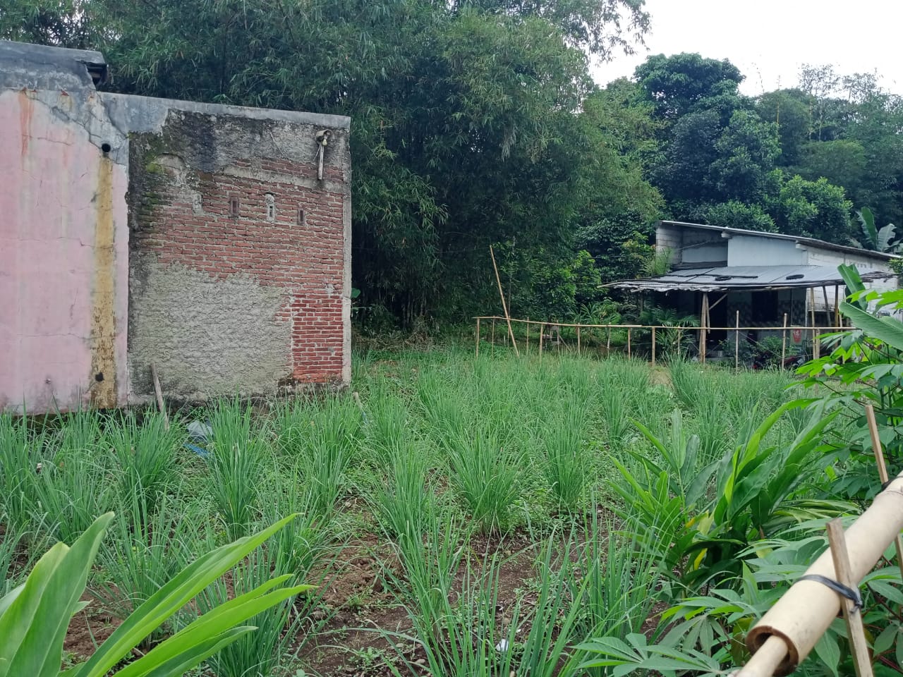 Dijual Tanah Kapling Luas di Cluster Banteran Indah Harga Bersahabat! - Ciberem view 3