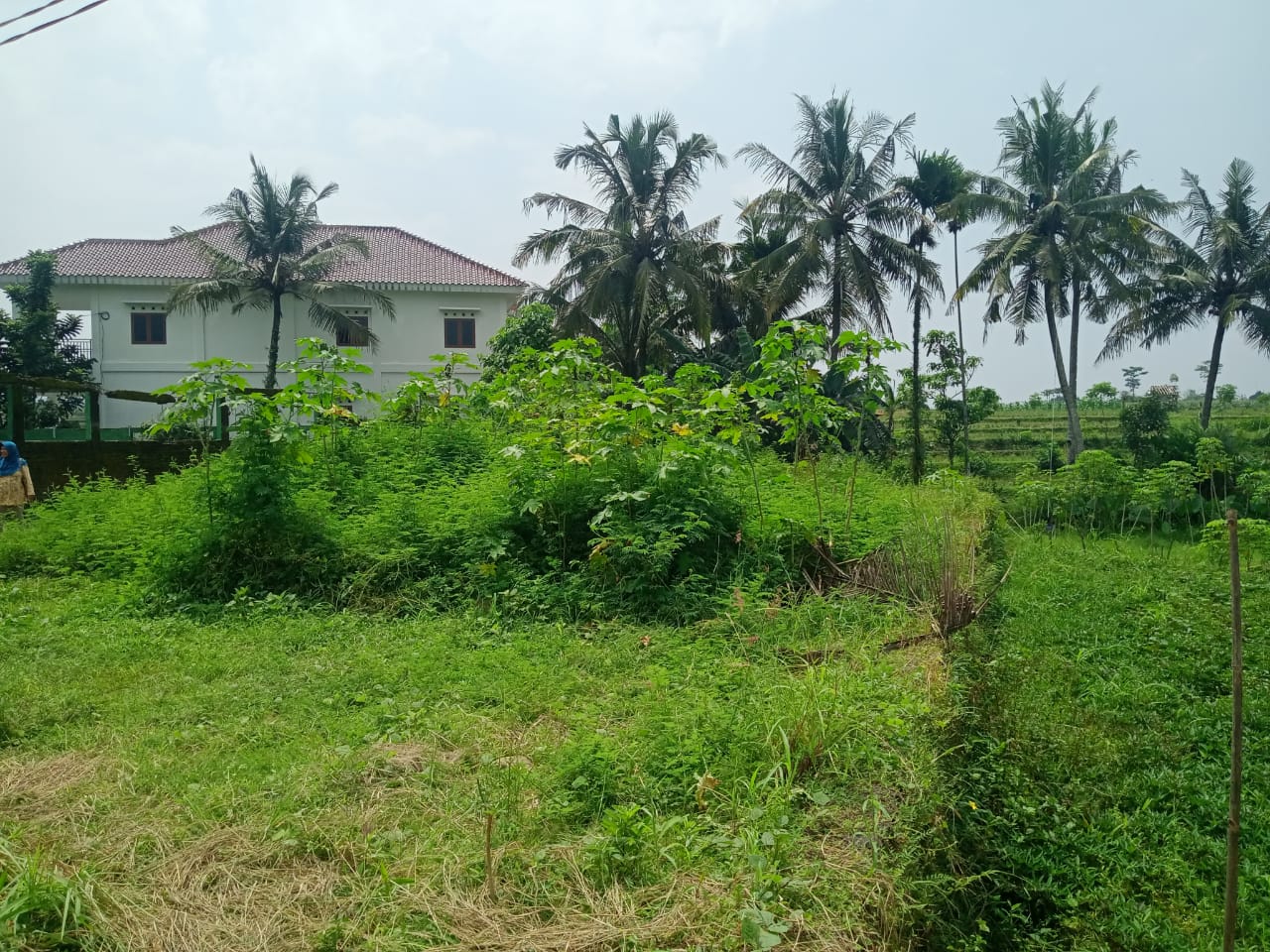 Dijual Sebidang Tanah Kering Bonus Pemandangan Sawah Purwokerto Utara view 1