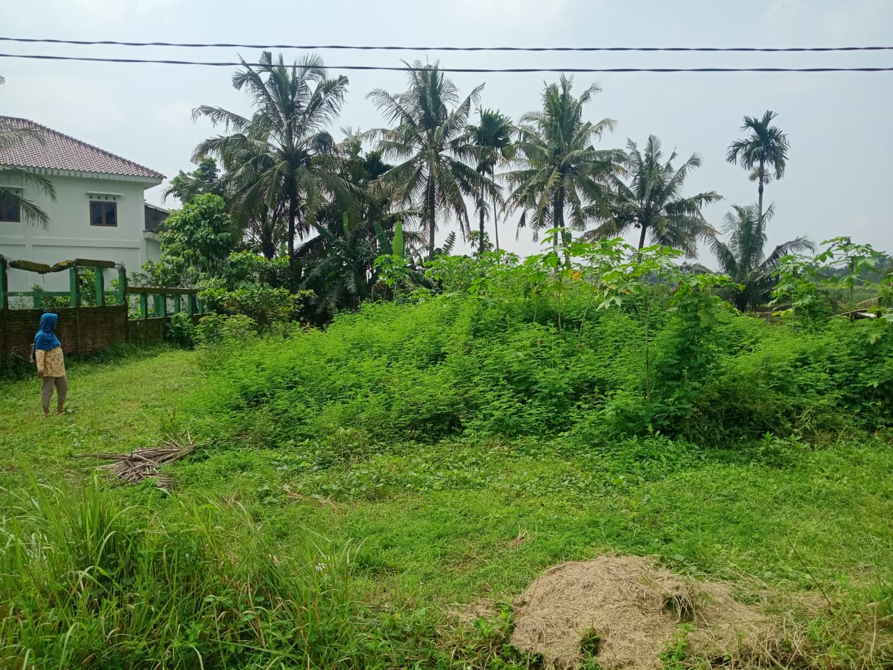 Dijual Sebidang Tanah Kering Bonus Pemandangan Sawah Purwokerto Utara view 2