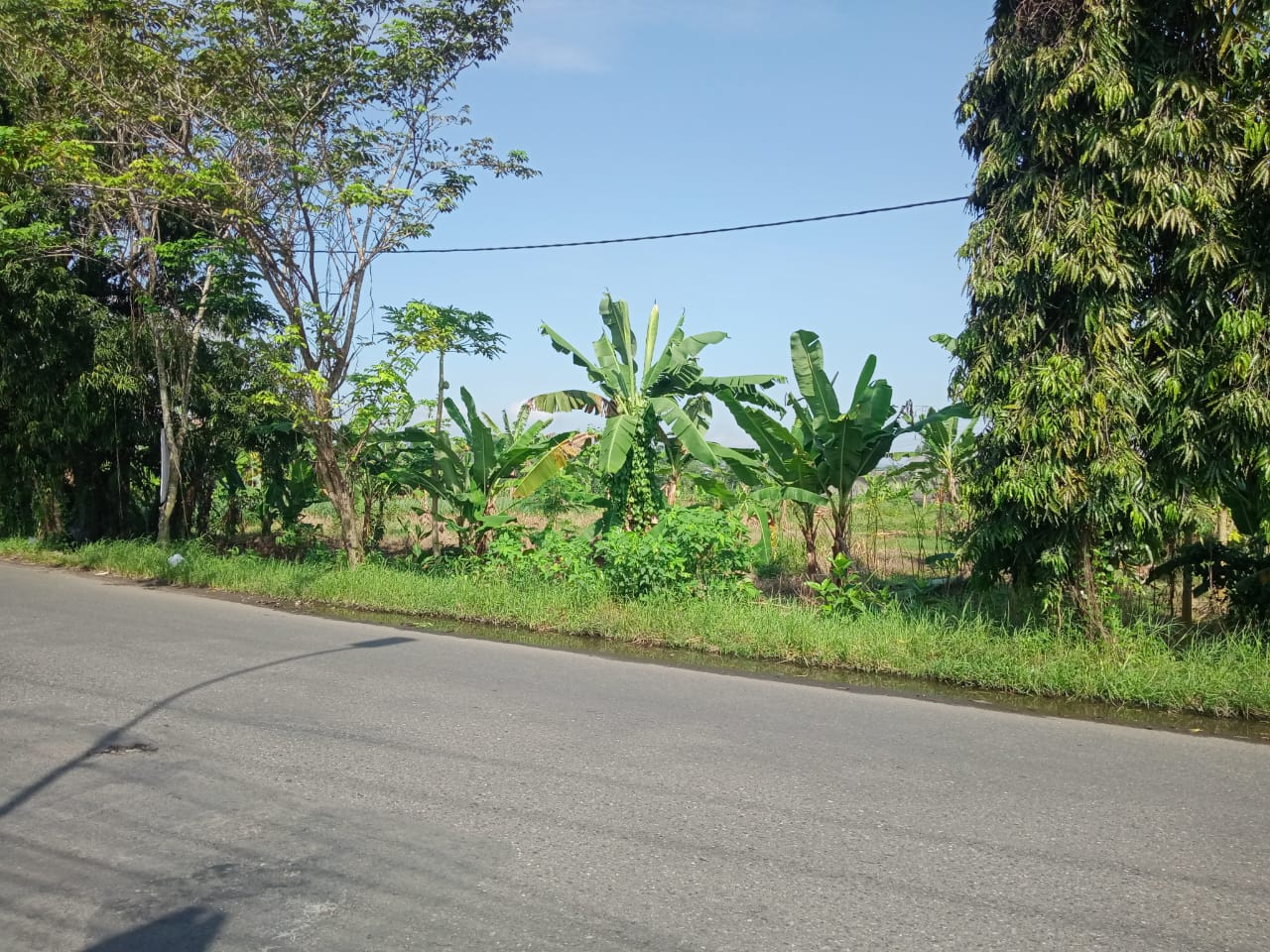 Dijual Tanah Strategis Selangkah Ke Terminal Bus Purwokerto view 1