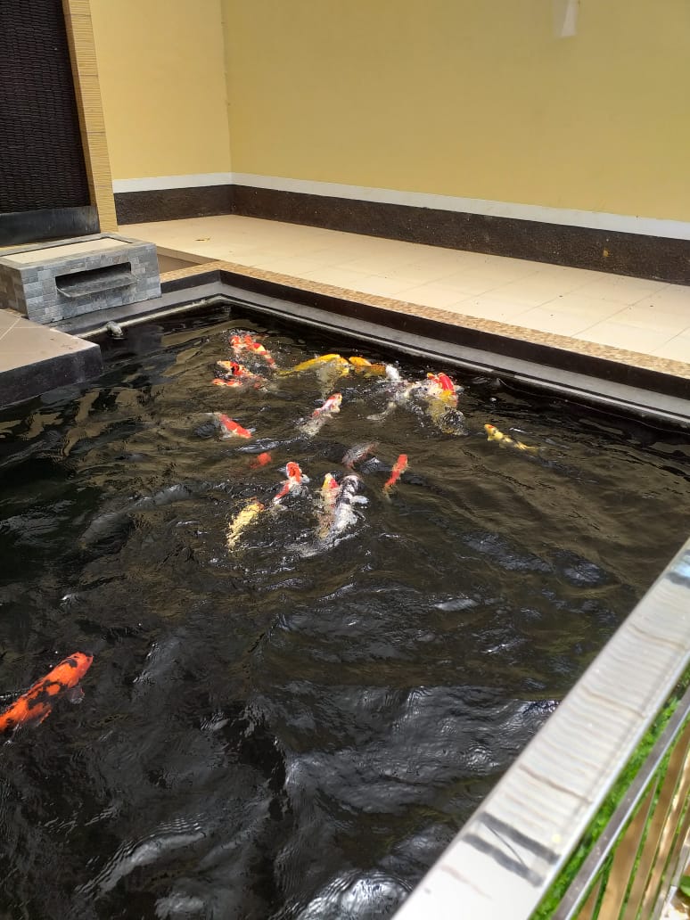 Dijual Rumah Mewah 2 Lantai Lokasi JL Raya Baturraden  view 5