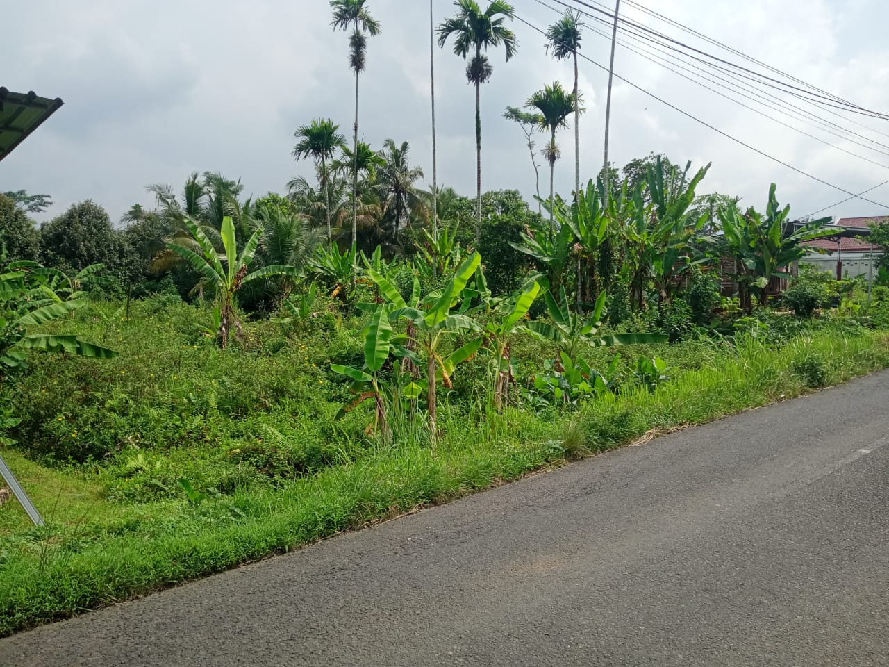 Dijual Tanah Dengan Udara Sejuk Suasana Pedesaan cocok Untuk Pensiunan view 1
