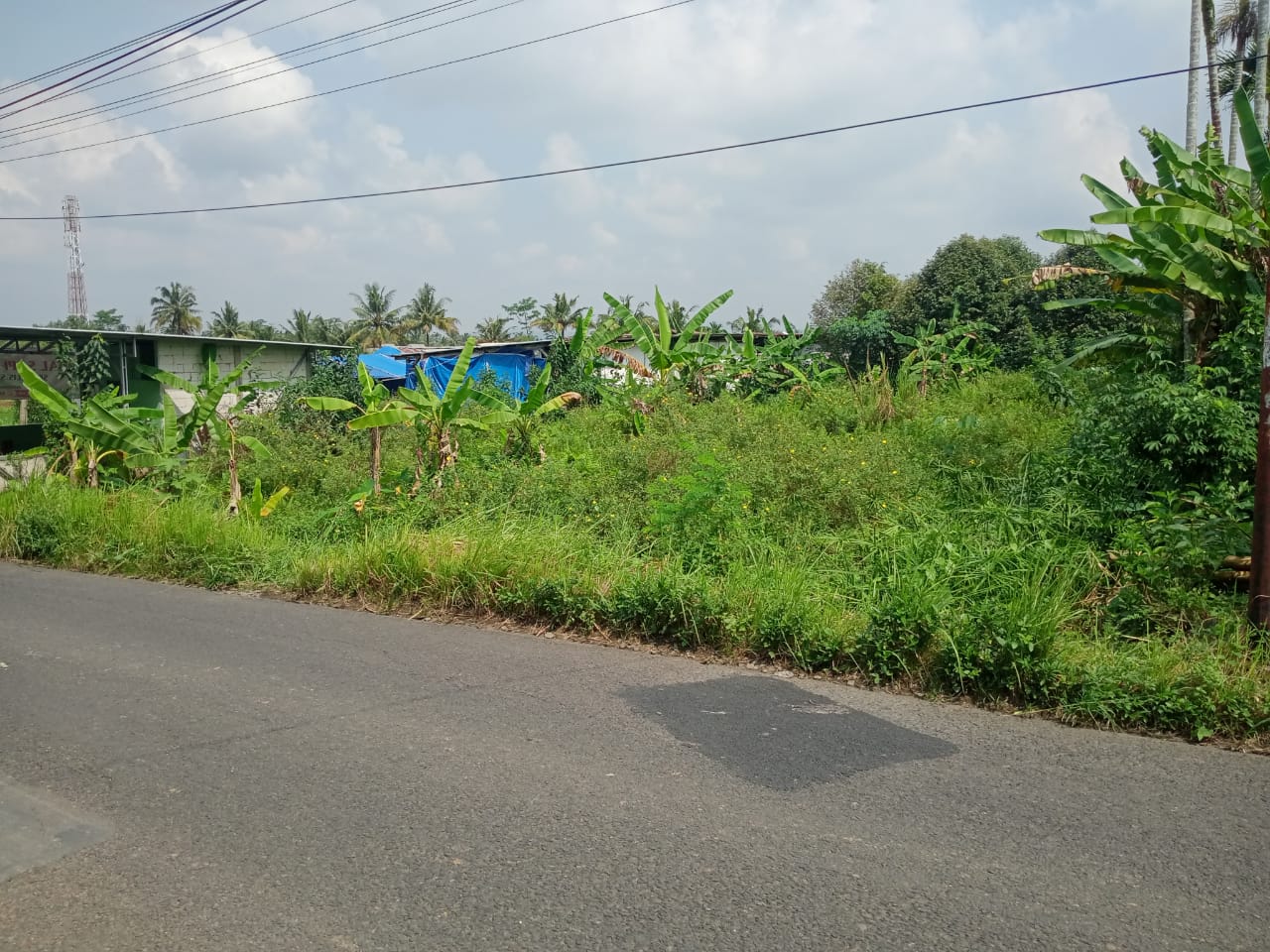Dijual Tanah Dengan Udara Sejuk Suasana Pedesaan cocok Untuk Pensiunan view 2