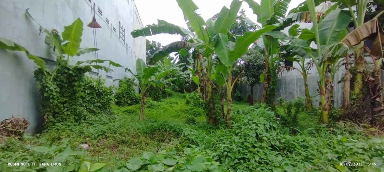 Dijual Tanah Pekarangan 30 Ubin, Dekat Kedokteran Unsoed view 1
