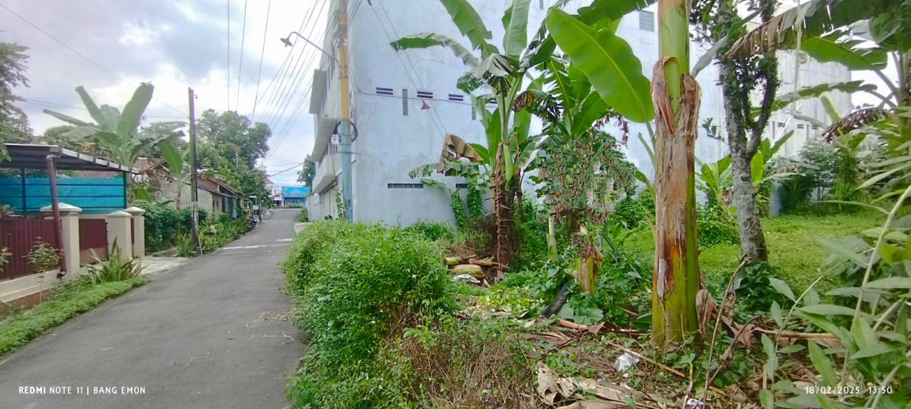  Dijual Tanah Pekarangan 30 Ubin, Dekat Kedokteran Unsoed view 3