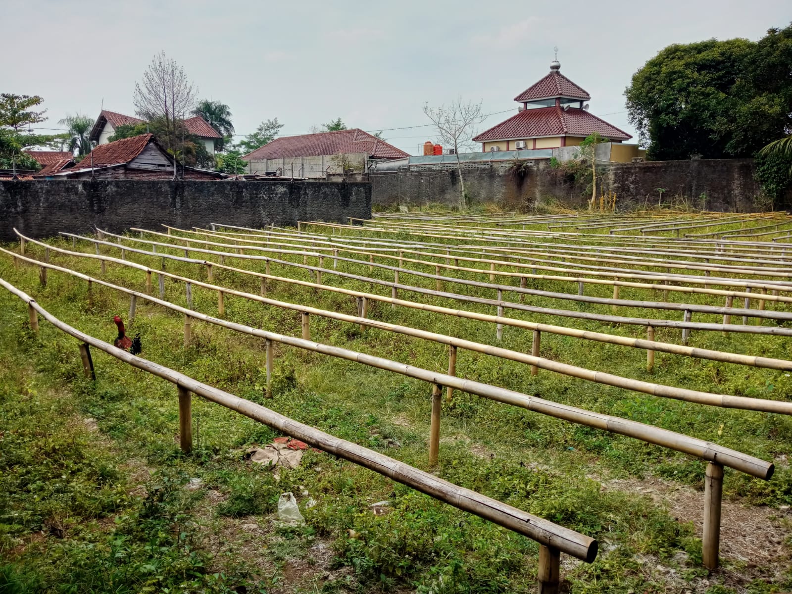 Dijual Tanah Luas Dalam Kota Purwokerto Dekat Univ Jensud view 2