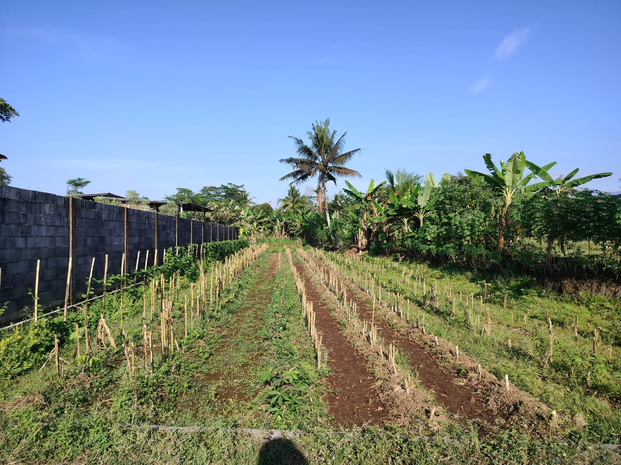  Tanah Luas Siap Bangun Area Timur Purwokerto view 1